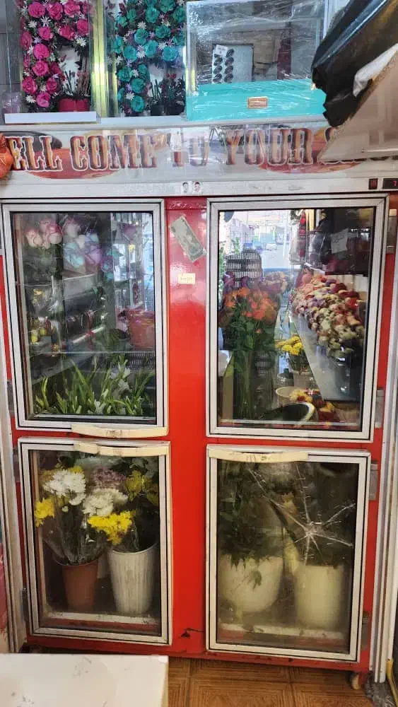 یخچال 4درب ایستاده|یخچال و فریزر|داراب, |دیوار