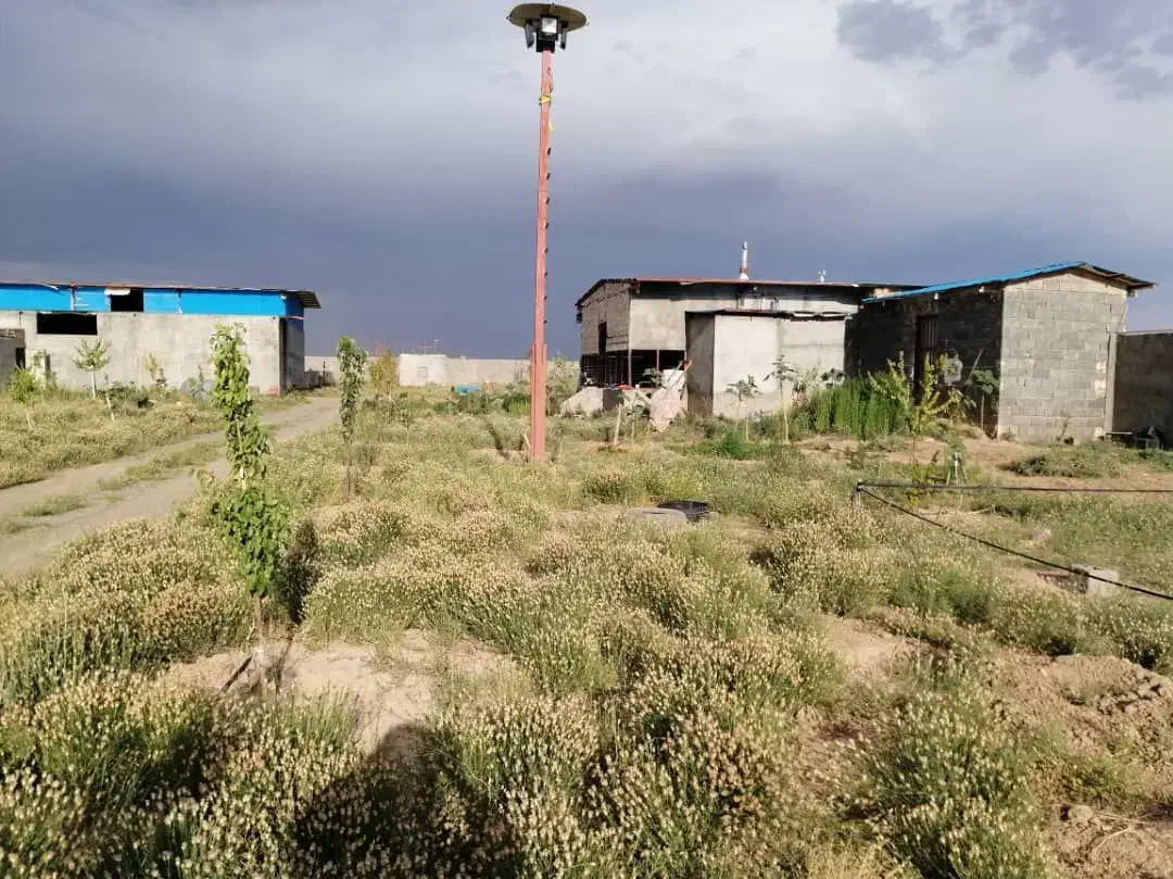 ۴۲۰۰ متر دامداری محدوده سرهنگ|فروش دفتر صنعتی، کشاورزی، تجاری|جلگه رخ, |دیوار