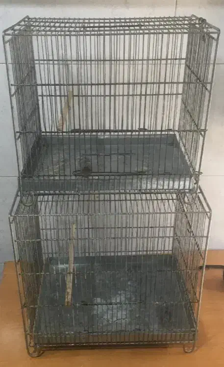 قفس دونه ای ۲۵۰ تومن|پرنده|تهران, گلستان (شهرک راه آهن)|دیوار