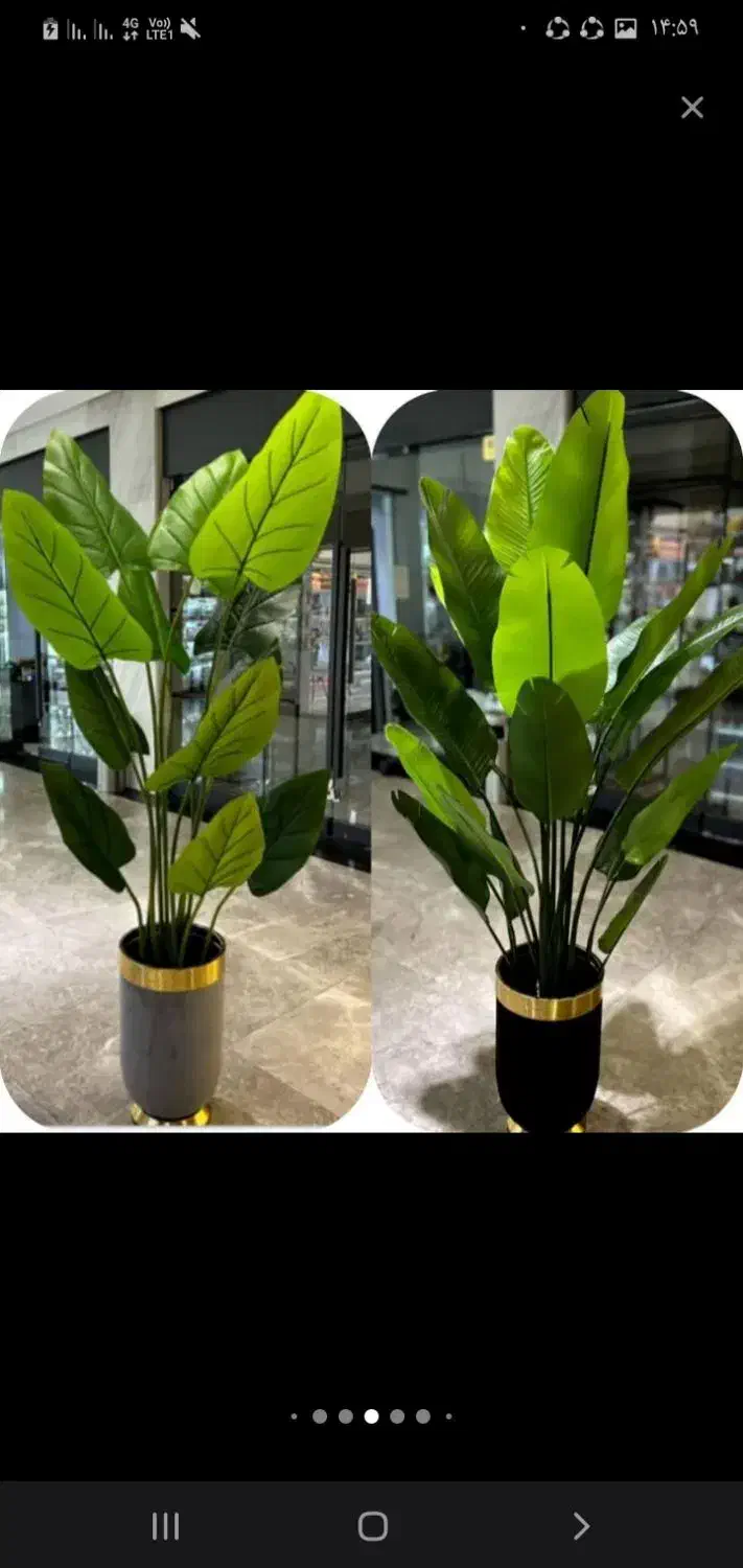 درخ چه|گل مصنوعی|تهران, مشیریه|دیوار