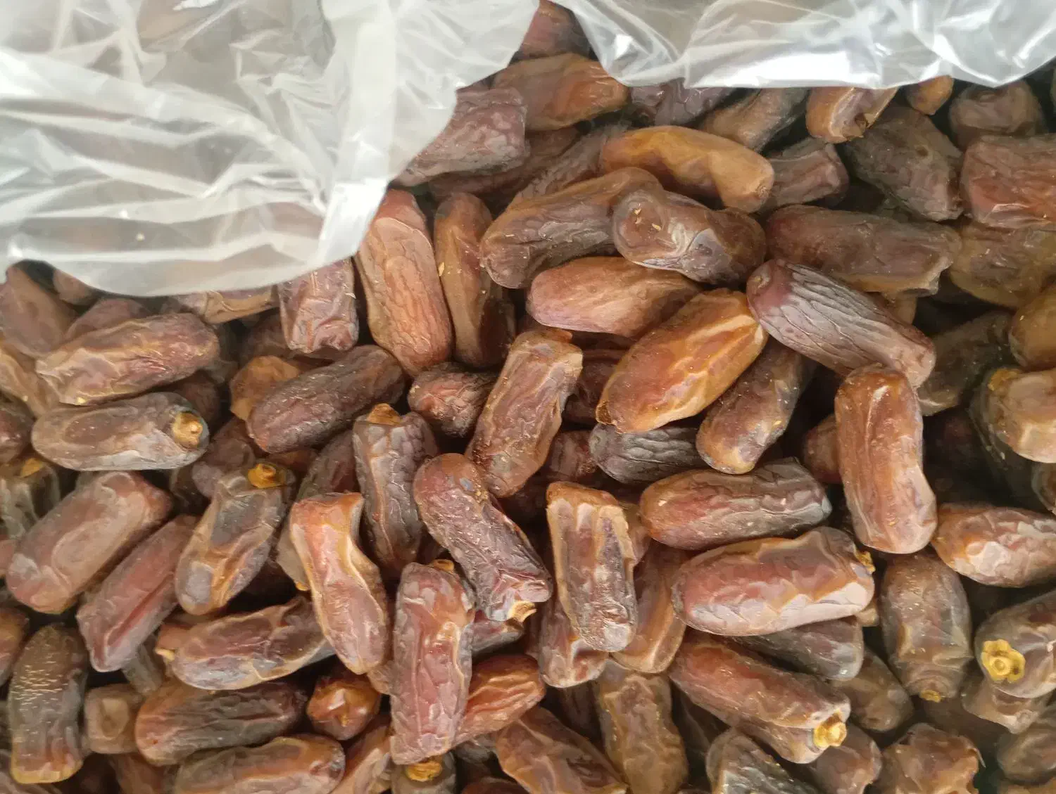 خرمایی درجه یک 1تن نیم و خرمایی درجه دو2تن|خوردنی و آشامیدنی|حاجی آباد, |دیوار