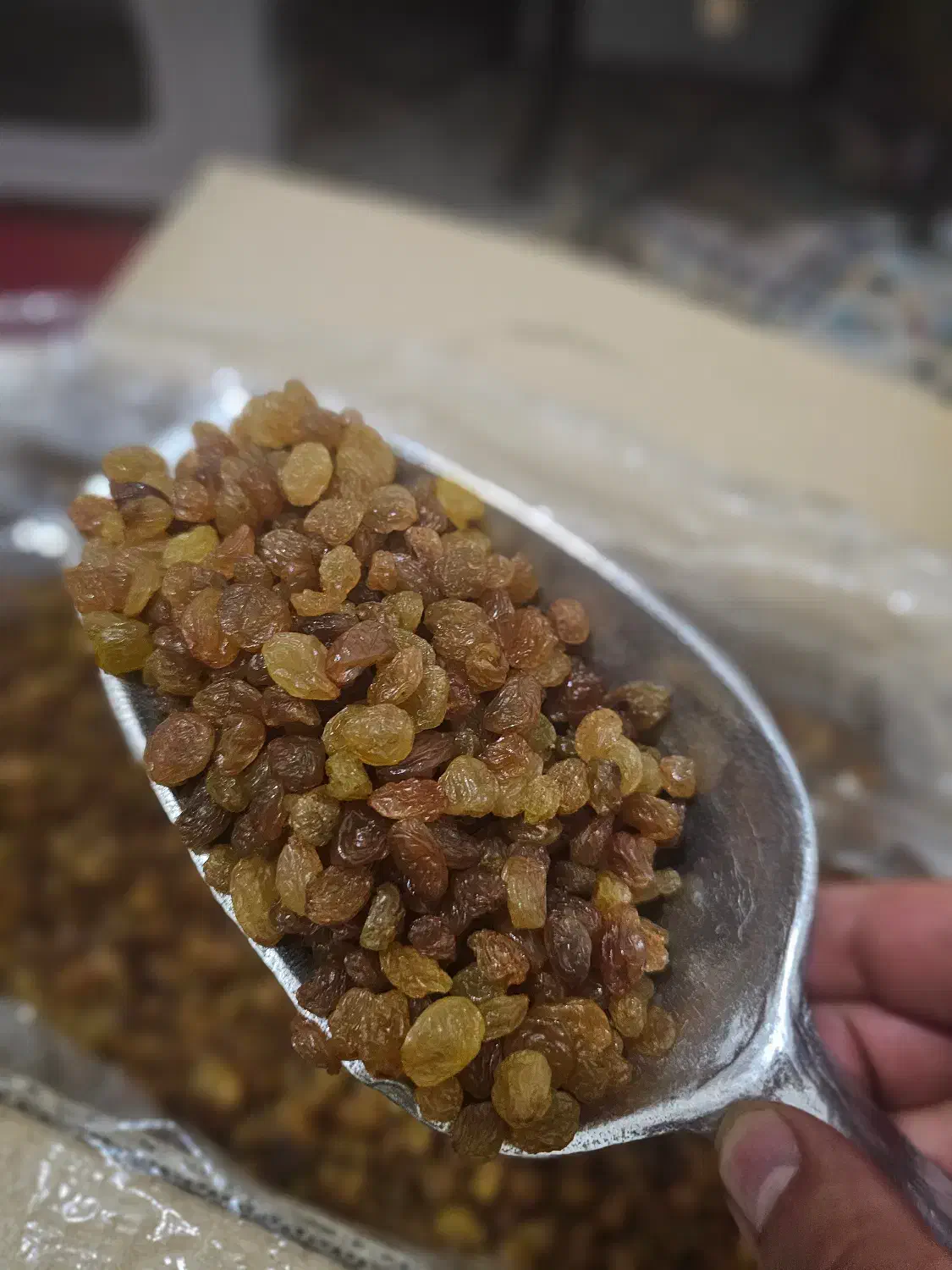 کشمش پلویی خرده یا عمده|خوردنی و آشامیدنی|شیراز, هفت تنان|دیوار