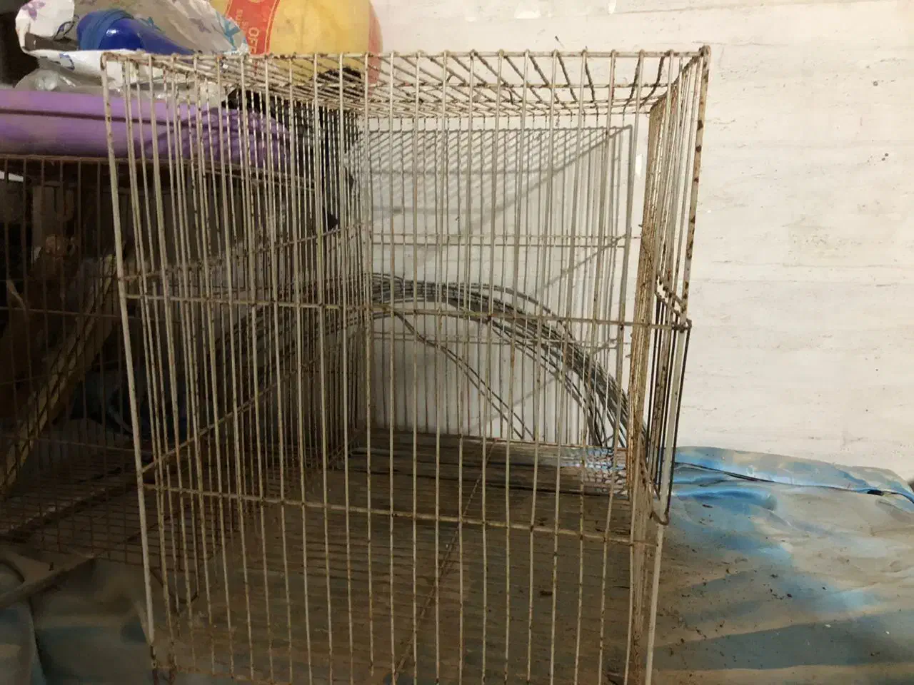 قفس پرنده|لوازم جانبی حیوانات|بندر ماهشهر, |دیوار