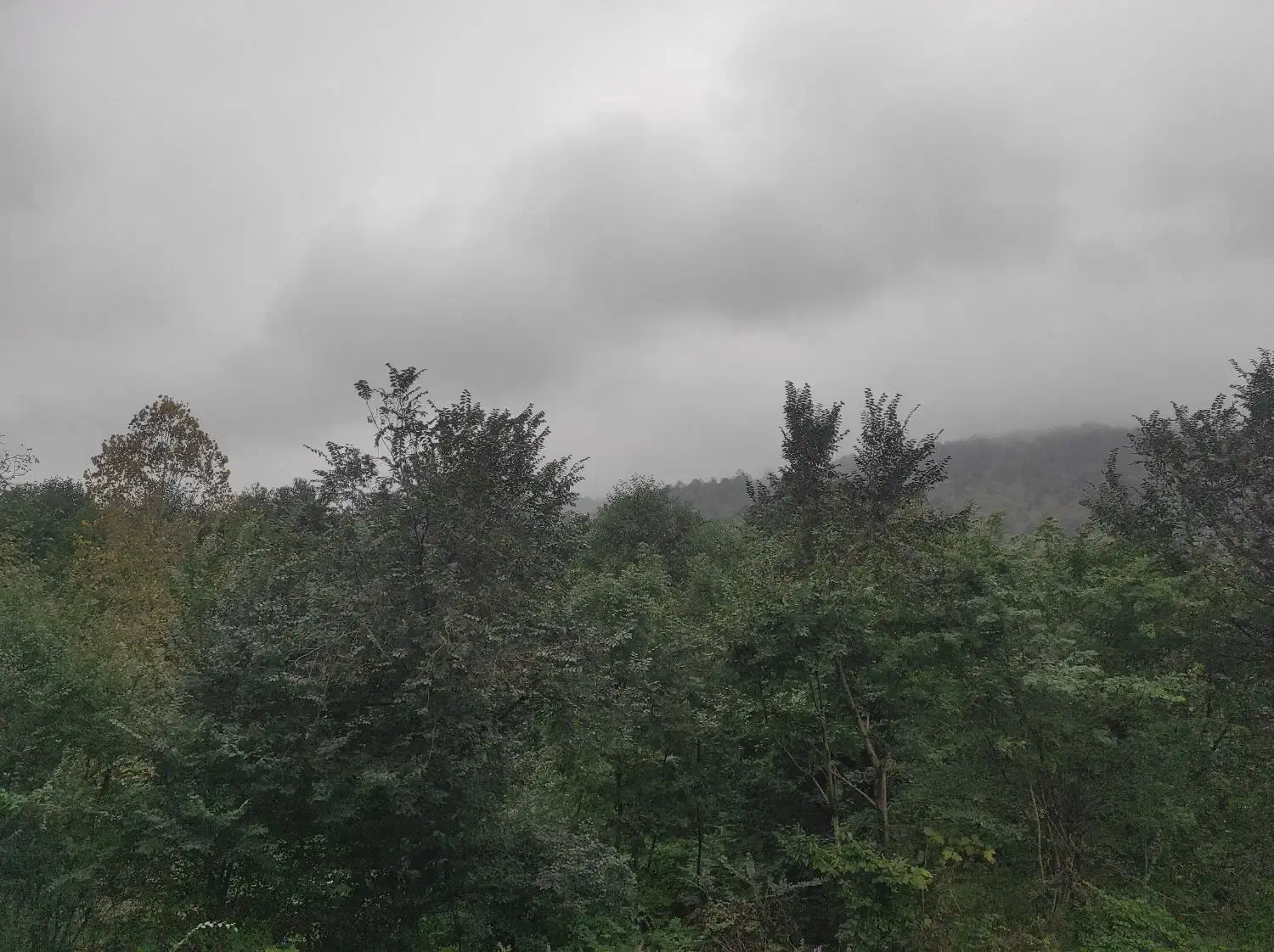 ۲۸۰۰۰هزار متر با مجوز بوم گردی|فروش زمین و ملک کلنگی|ماکلوان, |دیوار