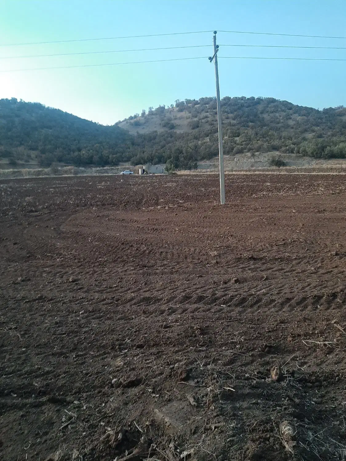 زمین کشاورزی|فروش زمین و ملک کلنگی|خاو و میرآباد, |دیوار