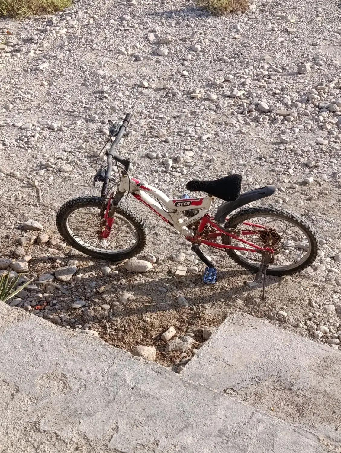 دوچرخه 20|دوچرخه، اسکیت، اسکوتر|رویدر, |دیوار