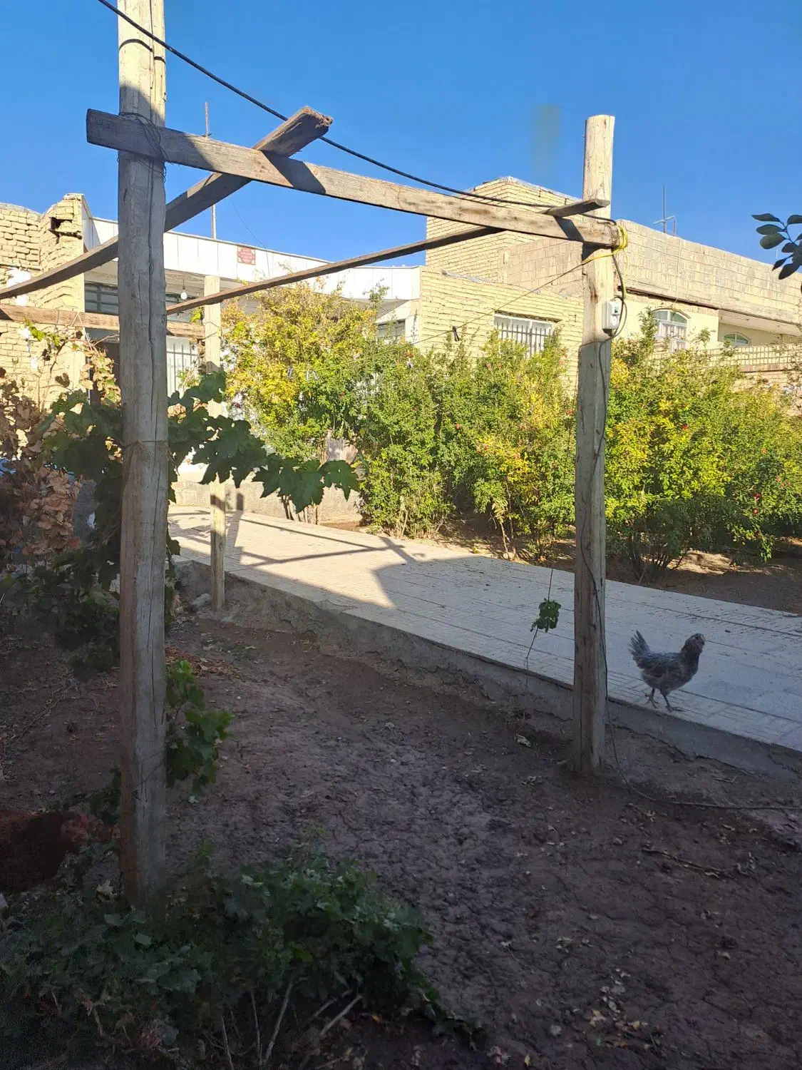خانه در روستای امامزاده قاسم|فروش خانه و ویلا|کوهپایه, |دیوار
