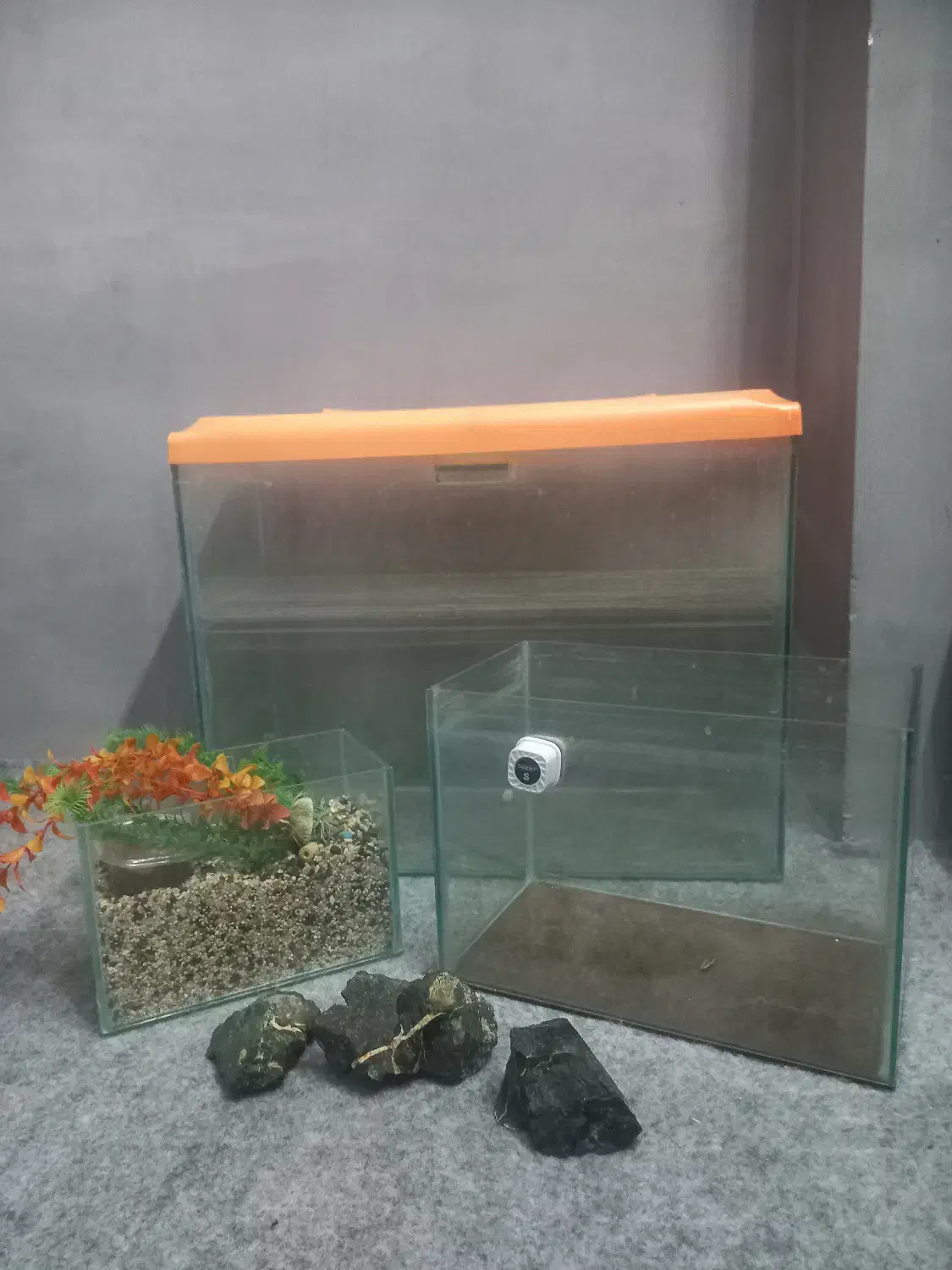 آکواریوم|لوازم جانبی حیوانات|مشهد, نوید|دیوار