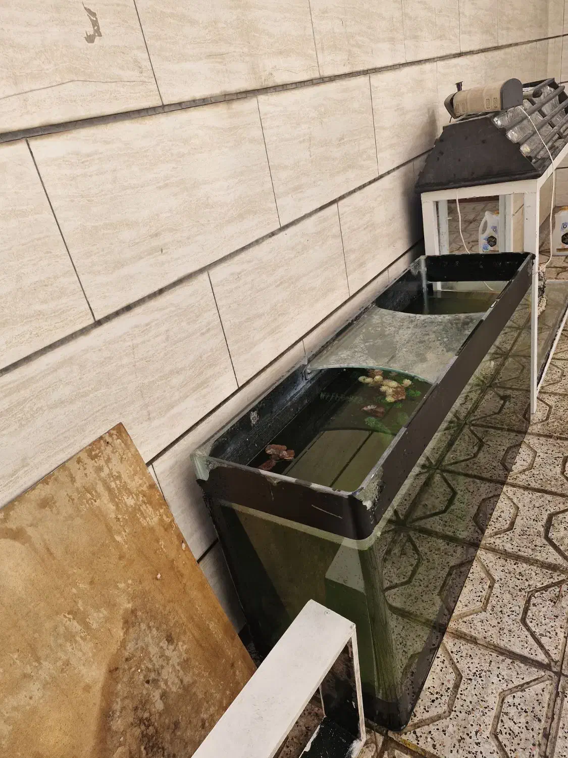 آکواریم بزرگ شیشه خم 10 میل شرکتی|ماهی|مشهد, حضرت حجت|دیوار