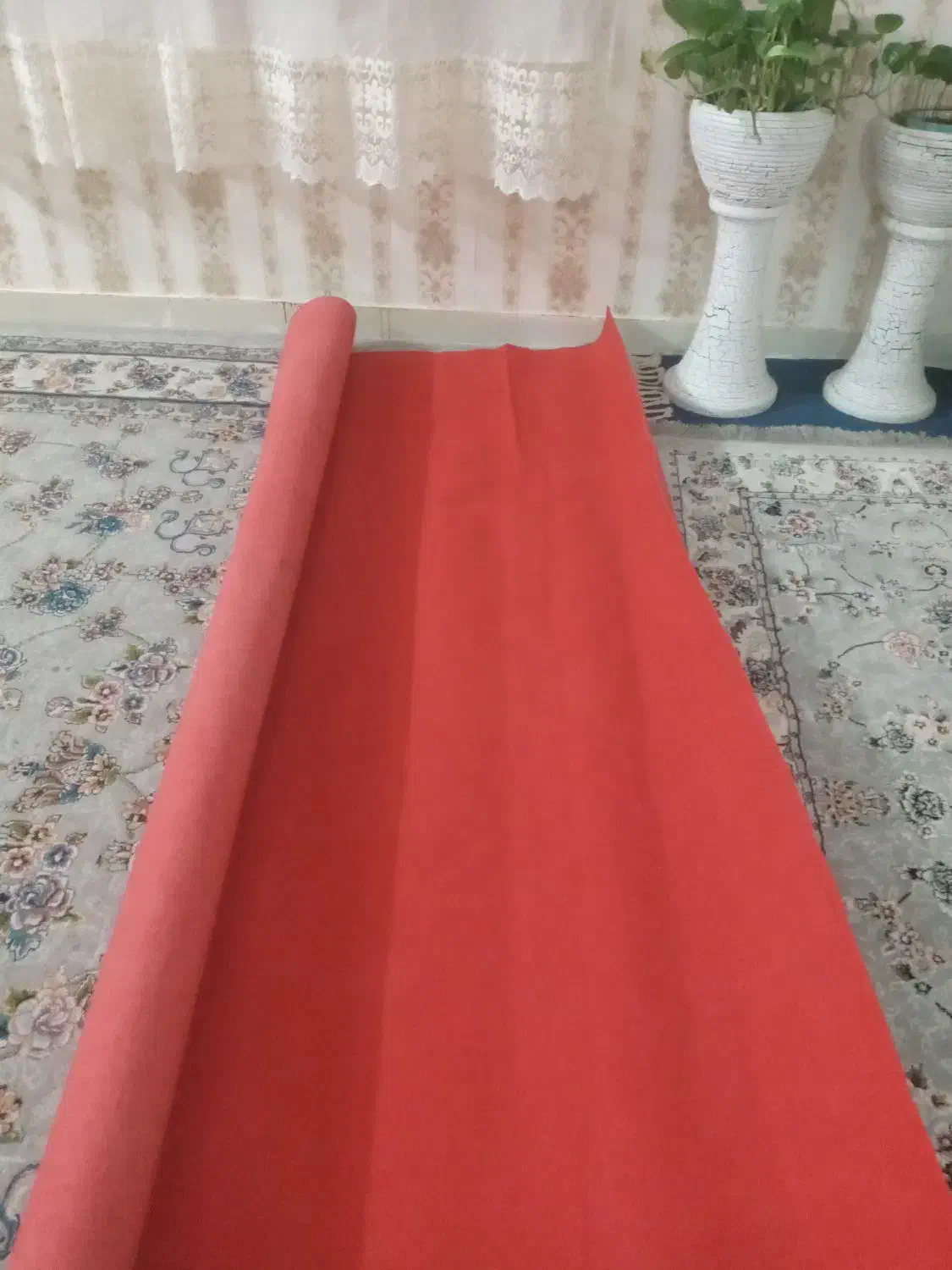 موکت و گلیم فرش|موکت|زابل, |دیوار