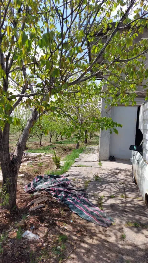 ۲هکتار باغ بر اتوبان تهران به زنجان معاوضه باماشین|فروش زمین و ملک کلنگی|صائین قلعه, |دیوار