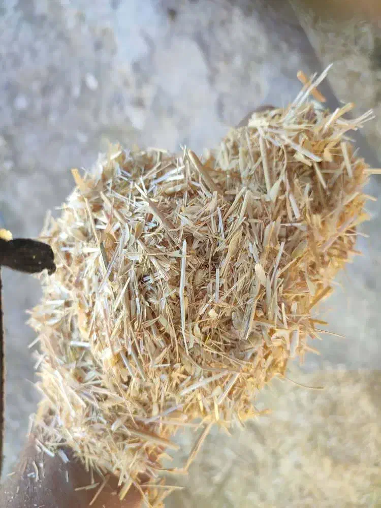 کاه گندم درجه یک|حیوانات مزرعه|رونیز, |دیوار