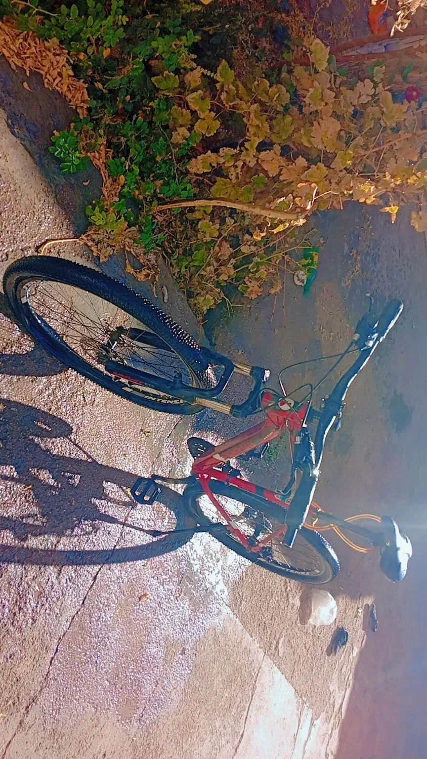 دوچرخه|دوچرخه، اسکیت، اسکوتر|نیمبلوک, |دیوار