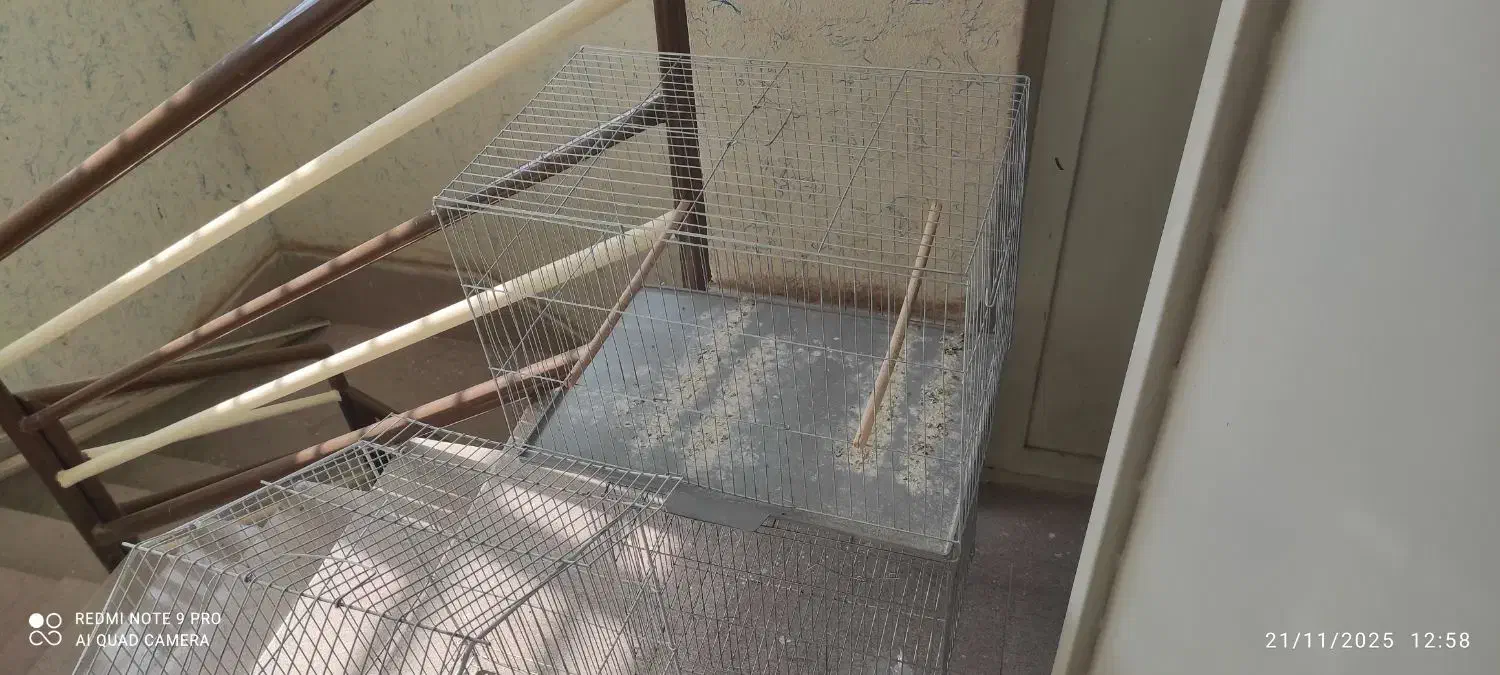 قفس پرنده|لوازم جانبی حیوانات|شاهین‌شهر, شهرک ردانی پور|دیوار