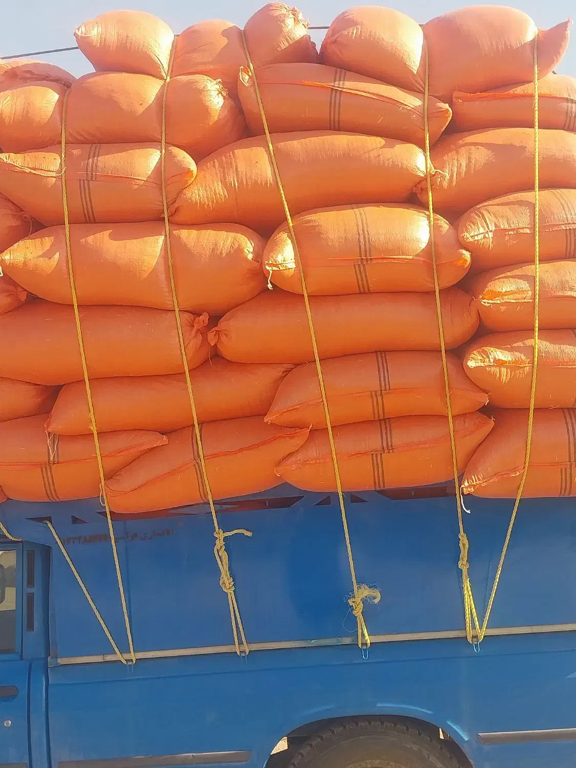 کاه گندم|لوازم جانبی حیوانات|میناب, |دیوار