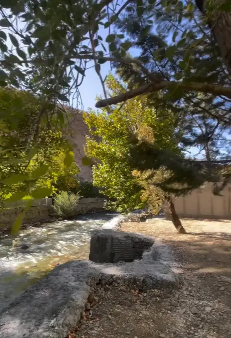 جاده چالوس بحر رودخانه|فروش زمین و ملک کلنگی|آسارا, |دیوار