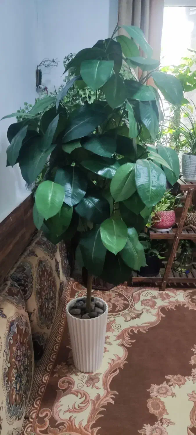 گل مصنوعی|گل مصنوعی|تهران, سلیمانی|دیوار