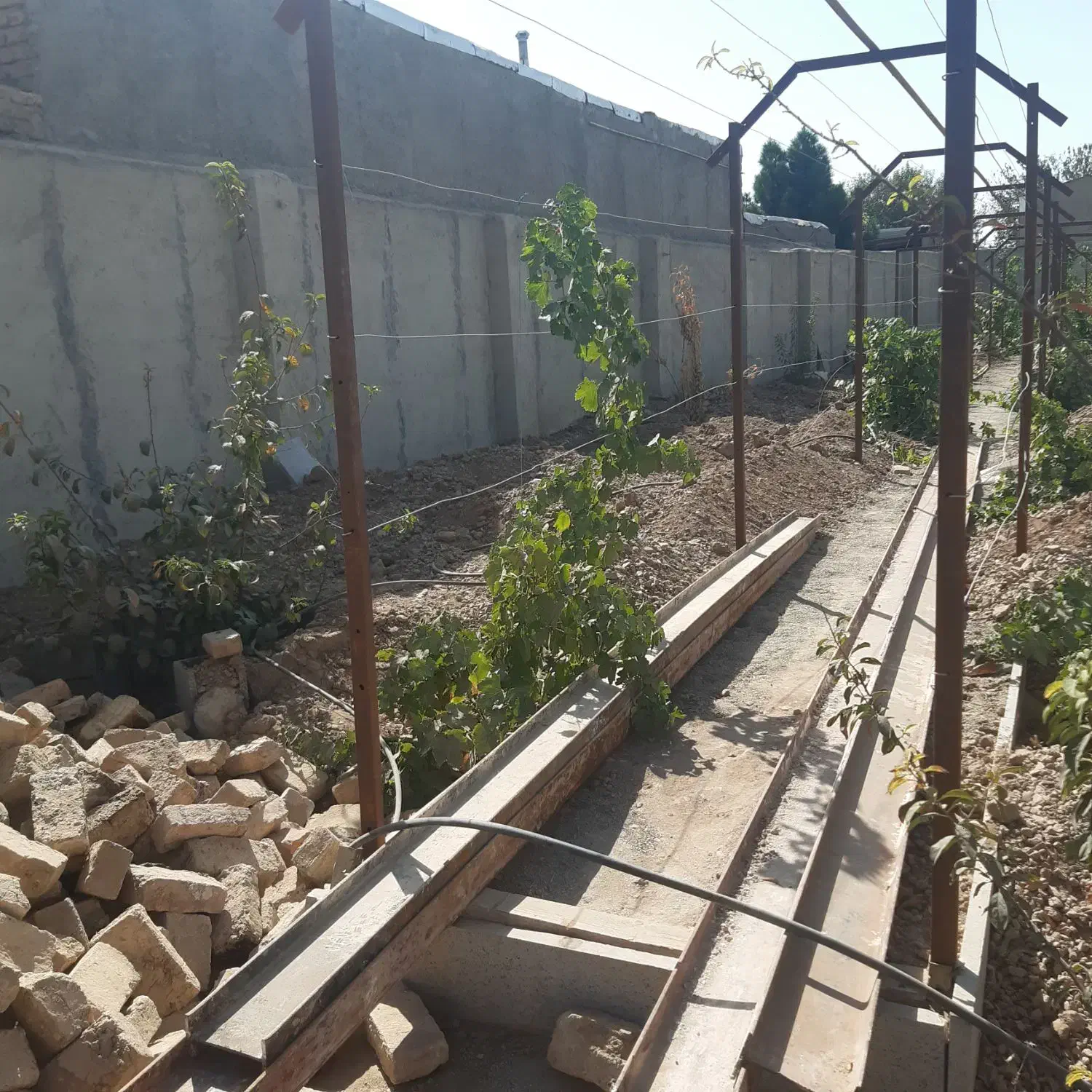 ملک تجاری مسکونی کلنگی در شهر قشلاق ابیک|فروش زمین و ملک کلنگی|بشاریات, |دیوار