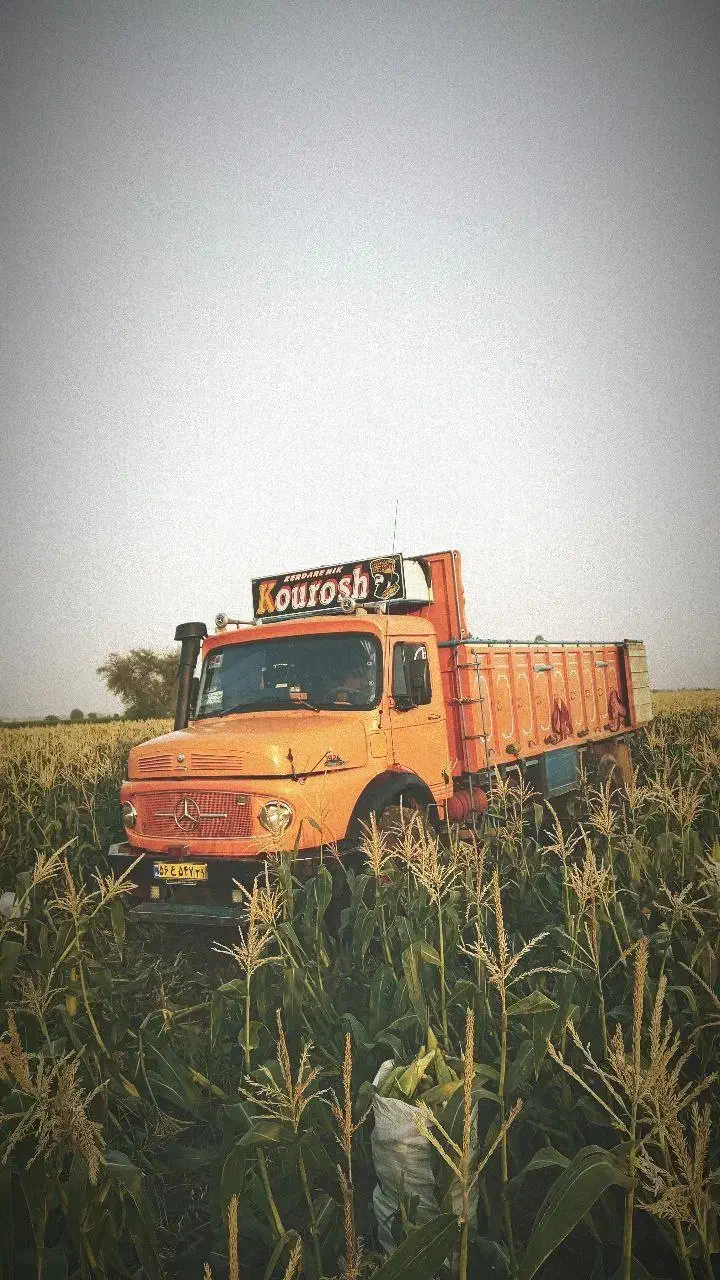 بنز تک باری|خودرو سنگین|کوهدشت, |دیوار