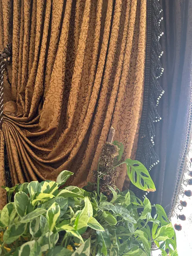 پرده پذیرایی|پرده، رانر، رومیزی|اصفهان, رکن الدوله شرقی|دیوار