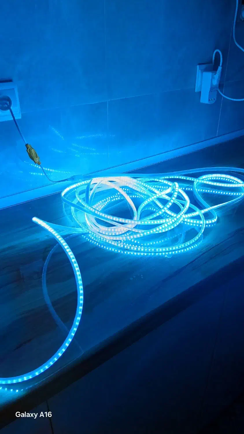 ریسه نو مخفی|ریسه و چراغ تزئینی|سیرجان, |دیوار