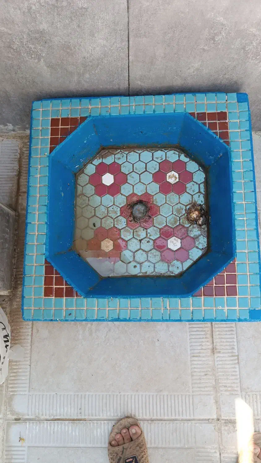 حوض ماهی|ماهی|زرقان, |دیوار