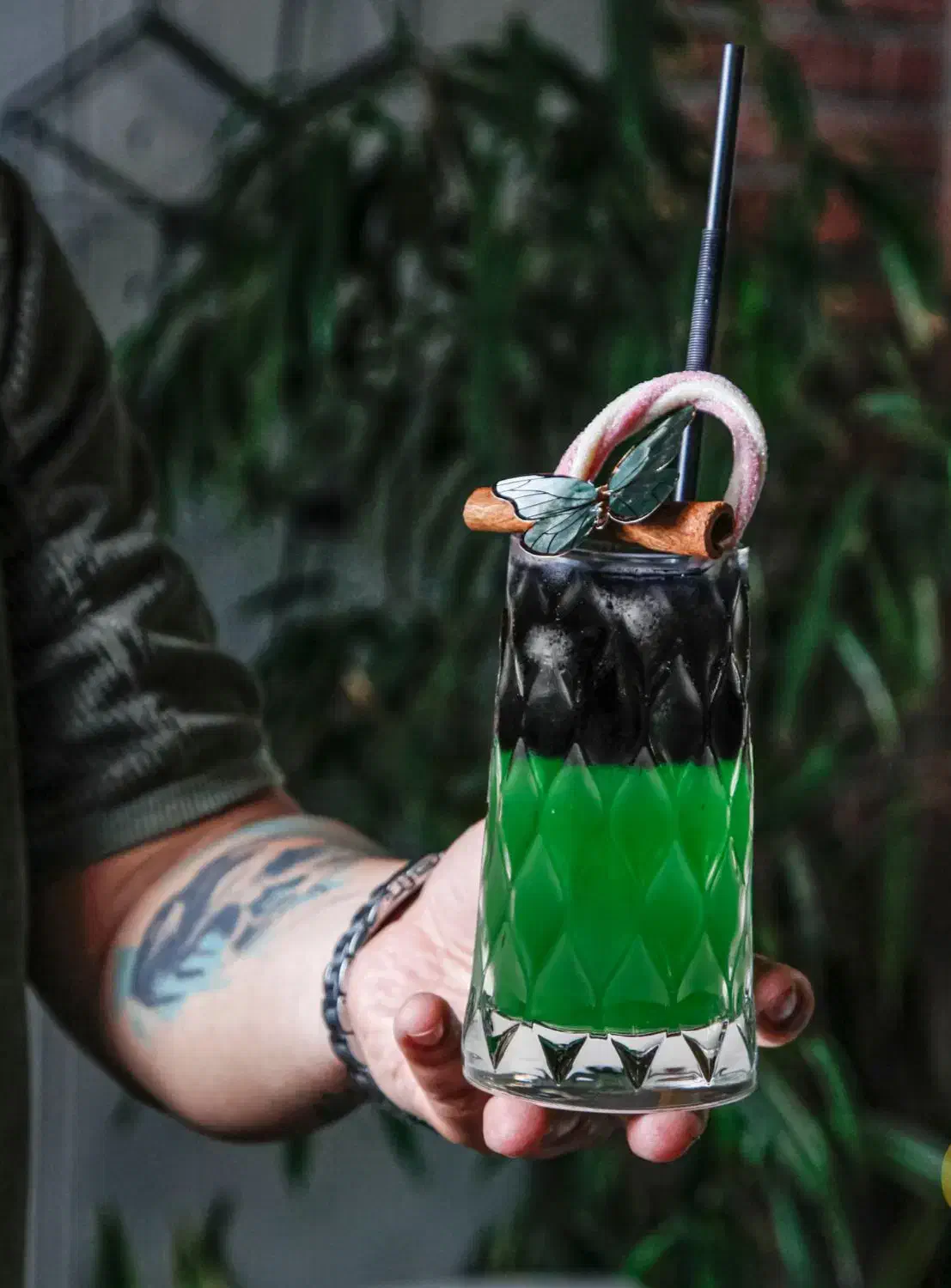 دوره جامع کافی شاپ زیر نظر فنی و حرفه ای|خدمات آموزشی|گرگان, |دیوار