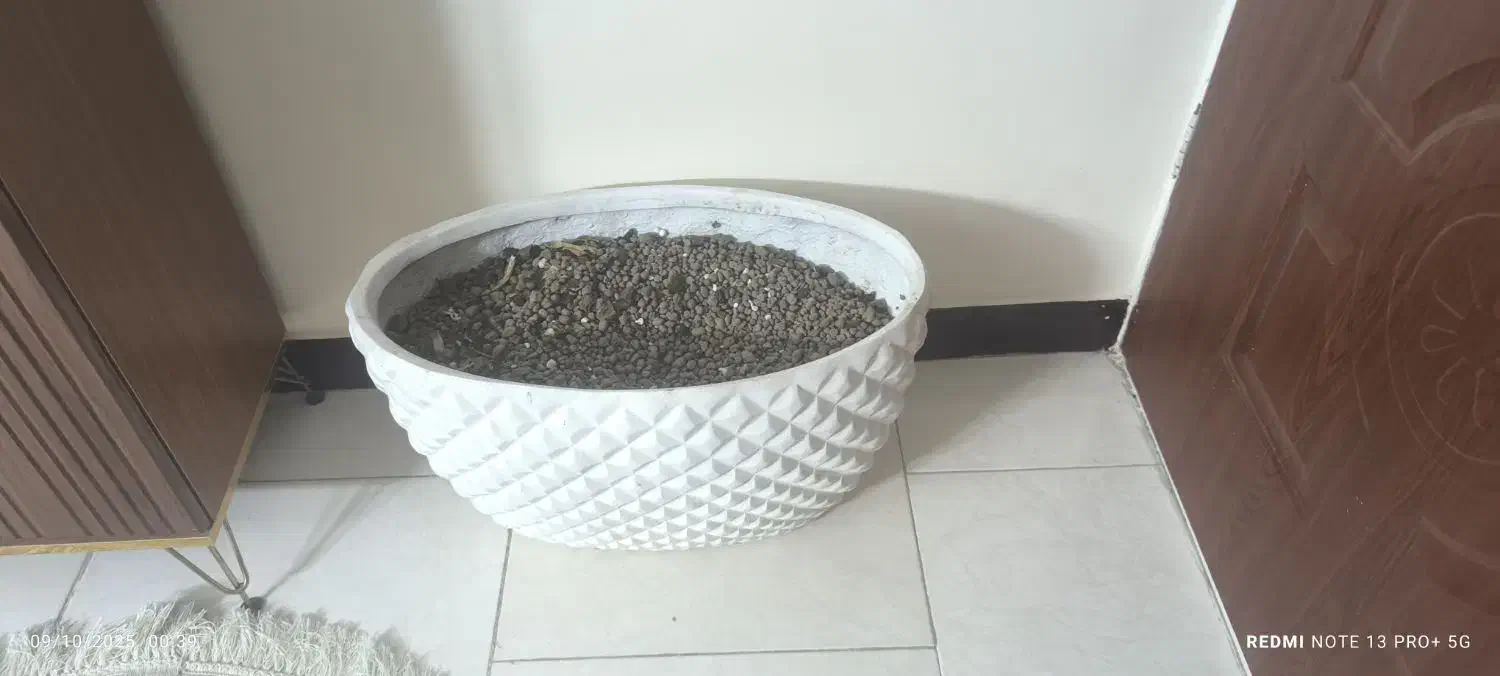 گلدان|گل و گیاه طبیعی|تهران, آهنگران (سراسیاب دولاب)|دیوار