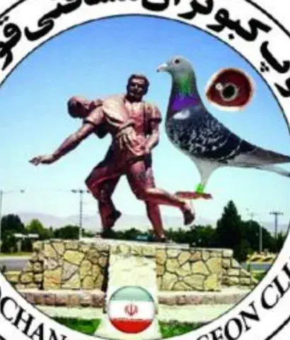 ۱۰تا ۲۰|پرنده|قوچان, |دیوار