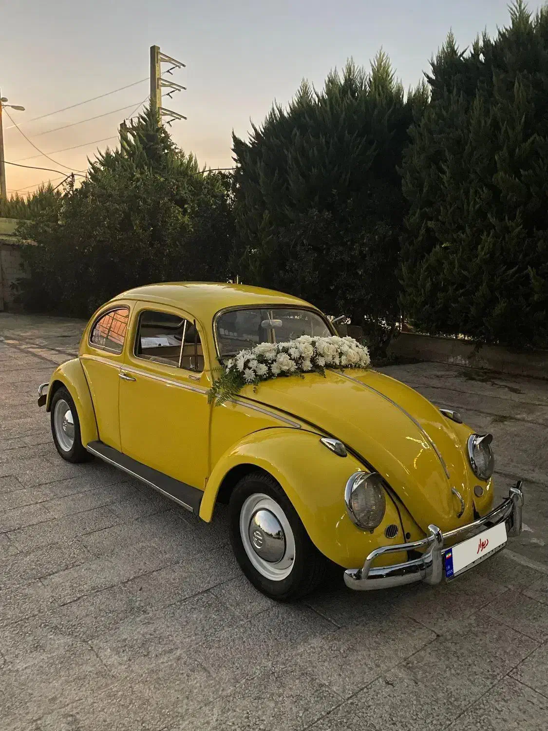 اجاره فولکس واگن در رنگ بندی|خودرو اجارهای|آمل, |دیوار