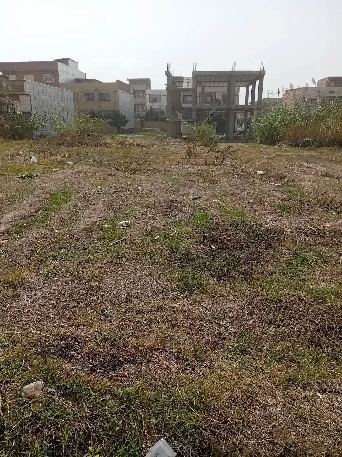 فروش یک قطعه زمین مسکونی|فروش زمین و ملک کلنگی|مینودشت, |دیوار