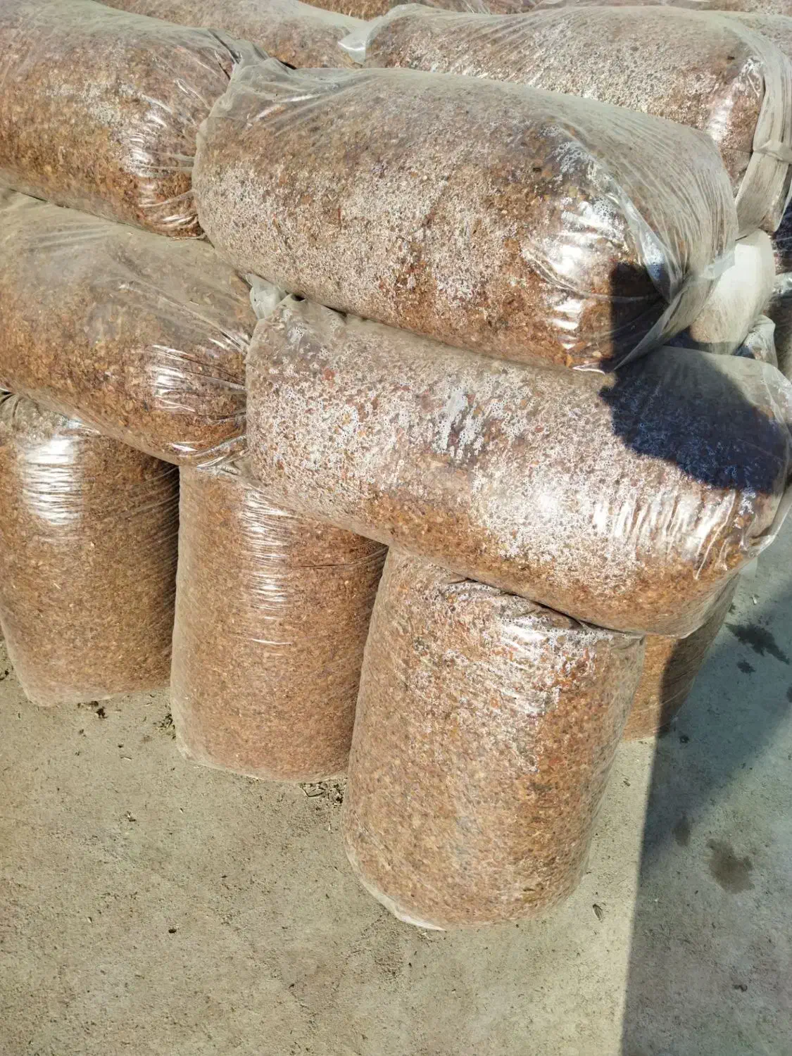 شبانه روزی خدمت شما عزیزان|حیوانات مزرعه|کرج, خرمدشت|دیوار