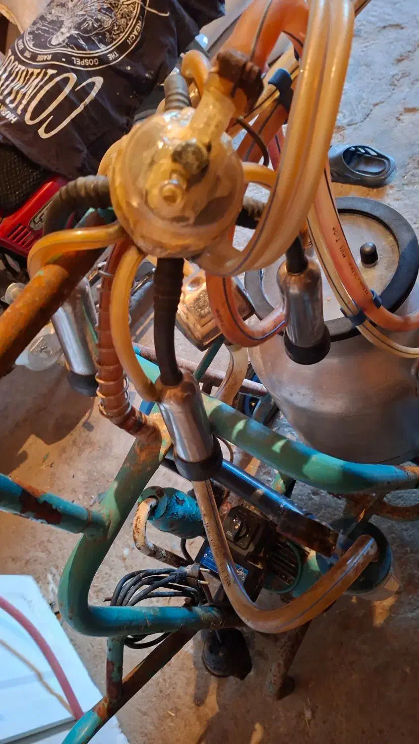 شیر دوش|لوازم جانبی حیوانات|سیلاخور, |دیوار