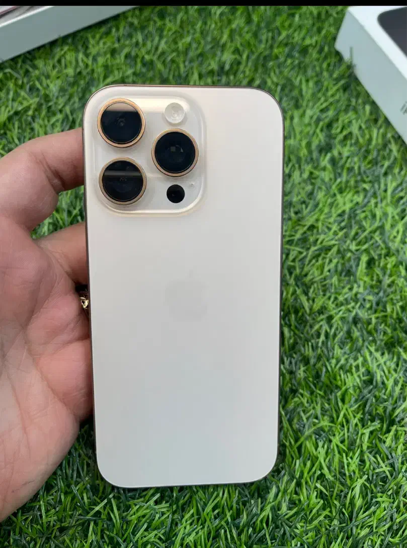 ۱۶پرو ۲۵۶ پک اصلی ریجستر شده|موبایل|فردیس, فردیس|دیوار