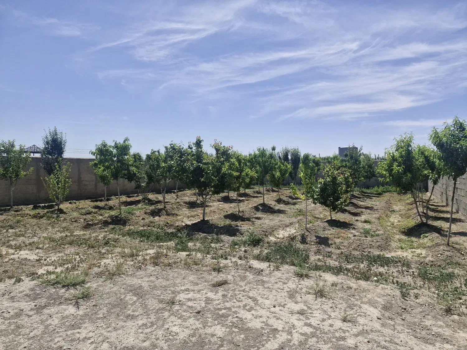 باغ وباغچه/چهاردیوارقدیمی/کاسبی هشتگرد|فروش زمین و ملک کلنگی|تهران, سعیدآباد|دیوار