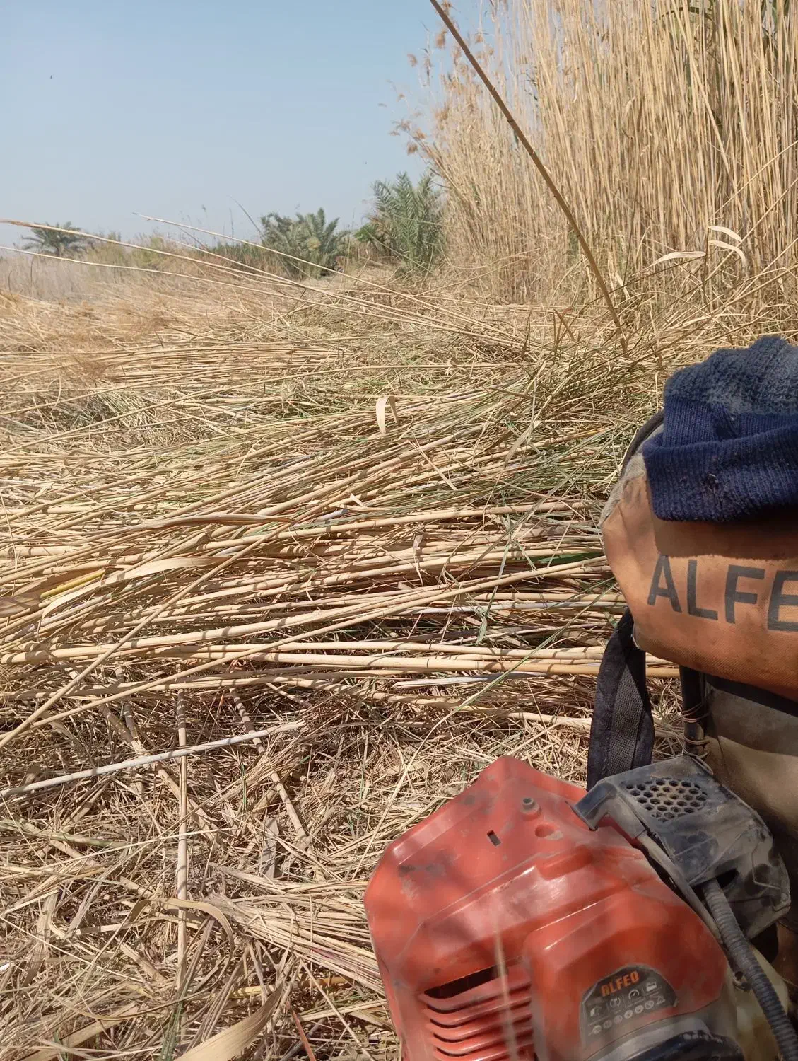 باغبانی|خدمات باغبانی و درختکاری|خرمشهر, |دیوار