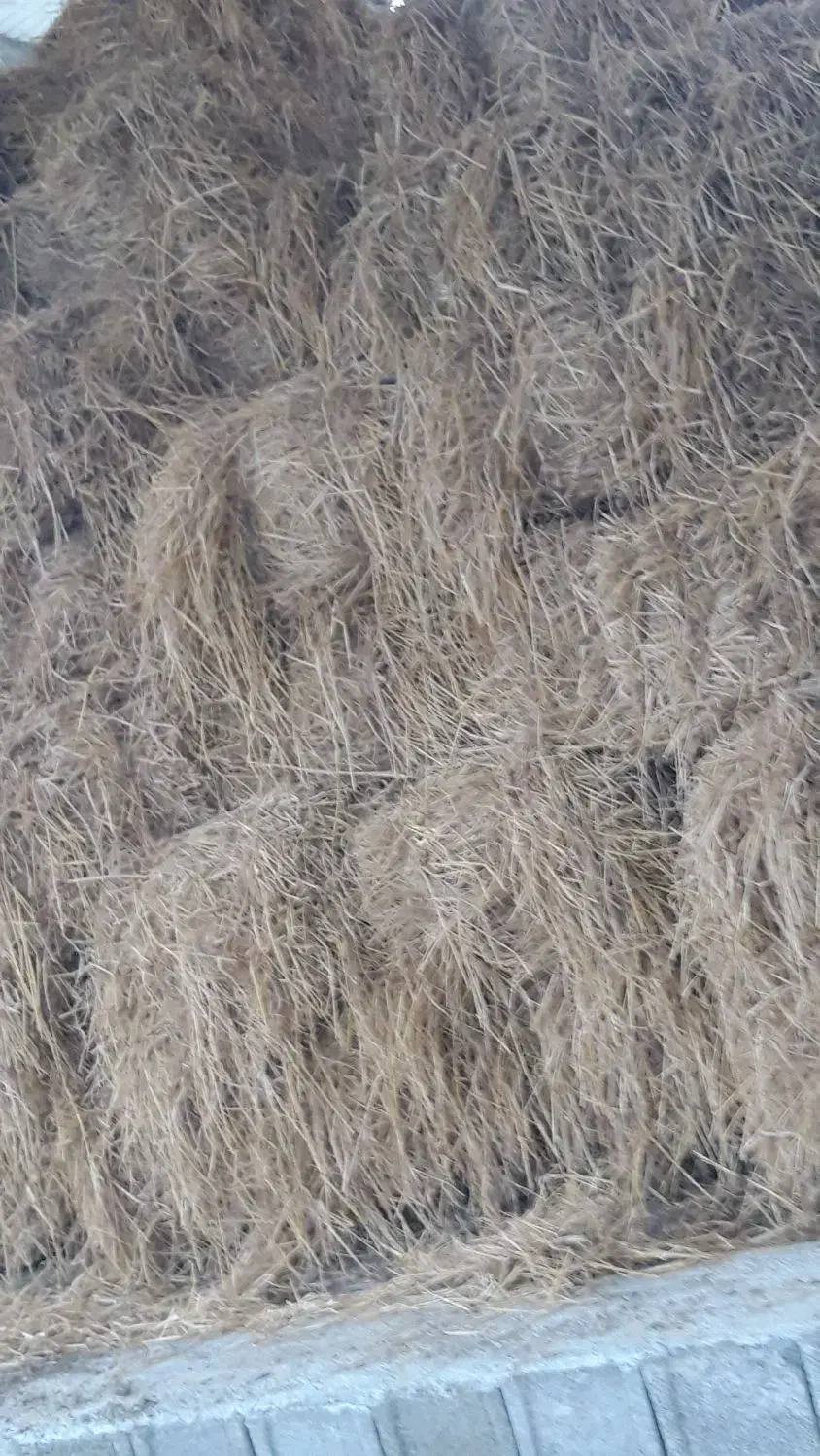 کاه کولش برنج|خدمات باغبانی و درختکاری|تالش, هشتپر|دیوار