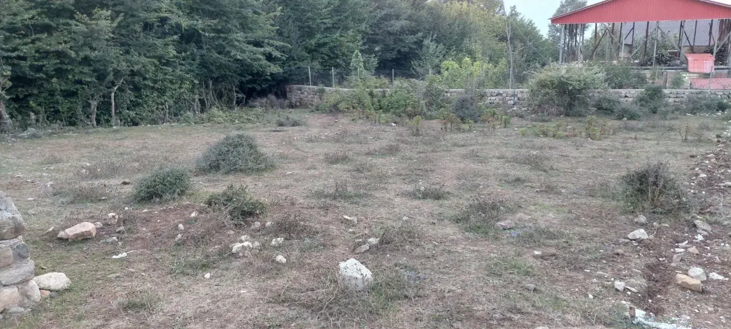 زمین در روستای بالاچلی|فروش زمین و ملک کلنگی|فاضل آباد, |دیوار