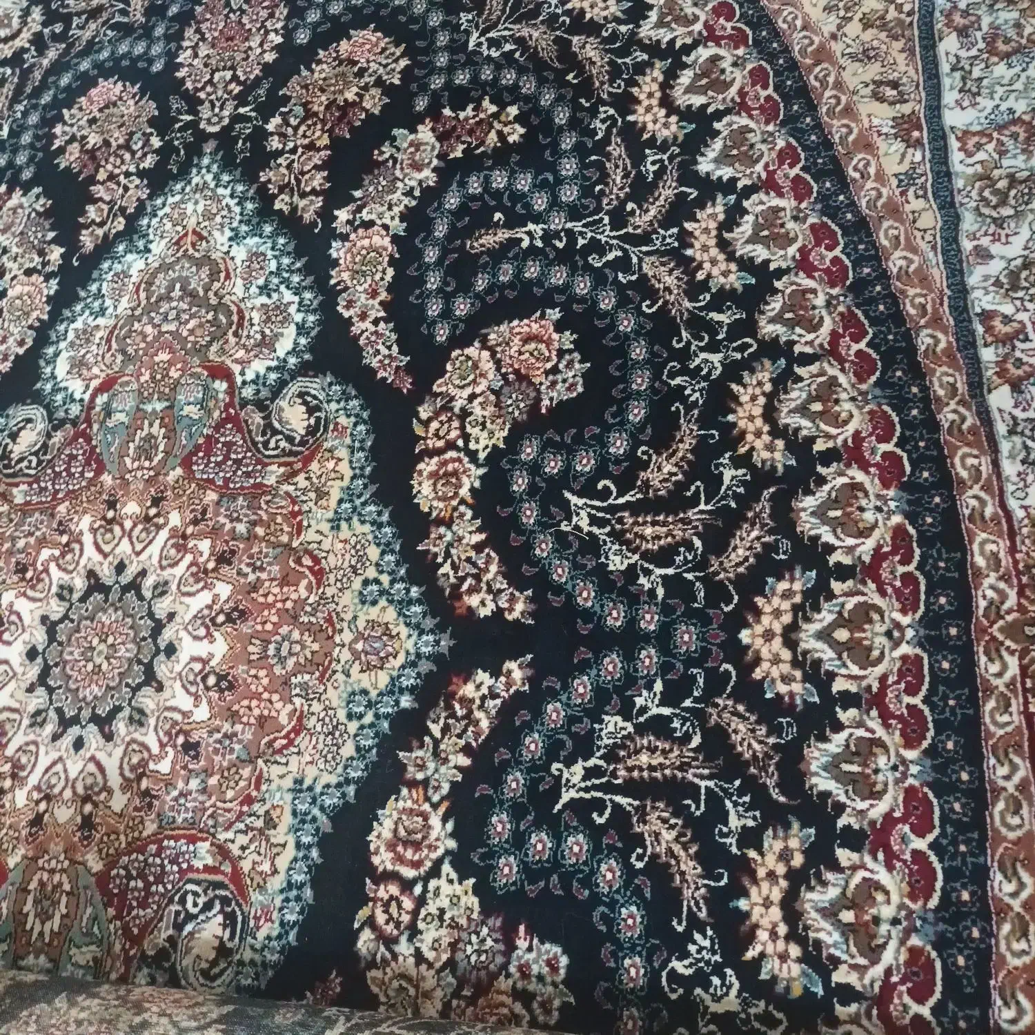 فرش ۶ متری|فرش|رشت, بوسار|دیوار