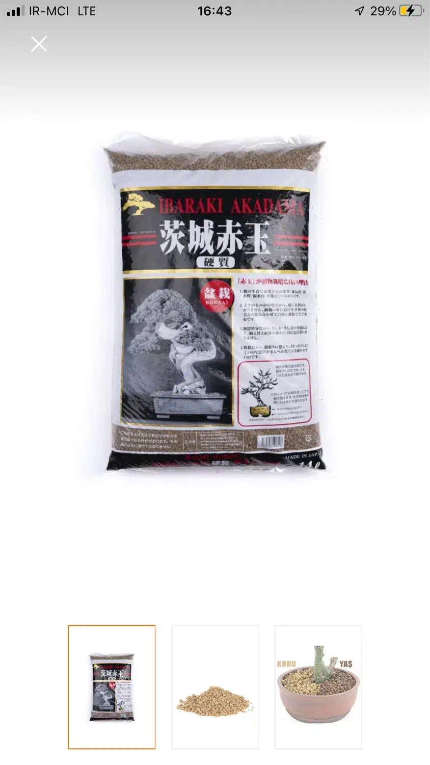 خاک بنسای آکاداما|گل و گیاه طبیعی|تهران, نیروی دریایی|دیوار