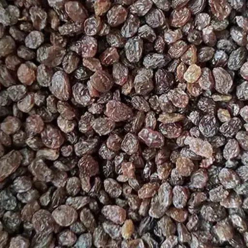 کشمش پلویی|خوردنی و آشامیدنی|کرج, حسینآباد|دیوار