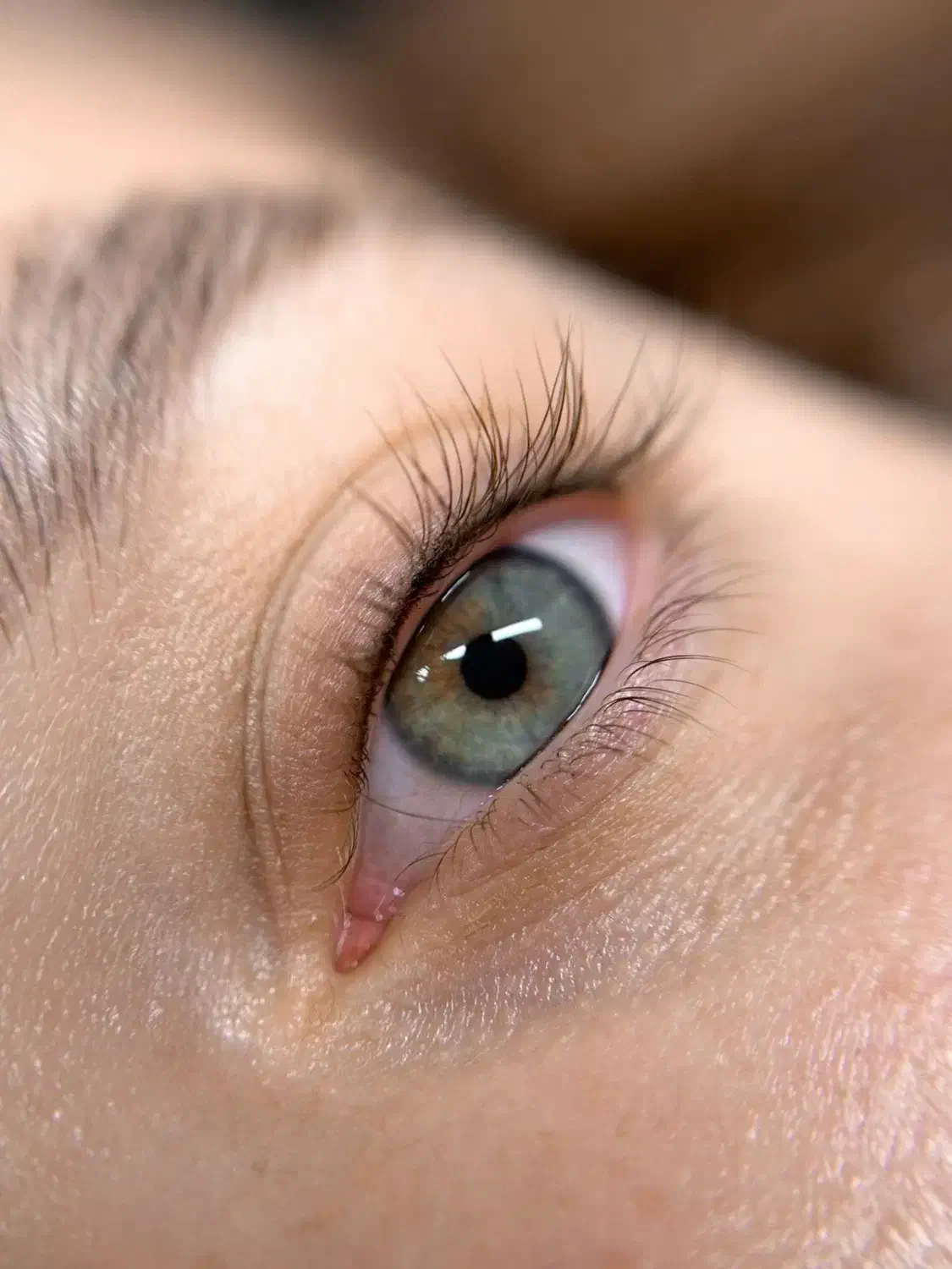 آرایش دائم بدون دستمزد/گلسار|خدمات آرایشگری و زیبایی|رشت, دیلمان|دیوار