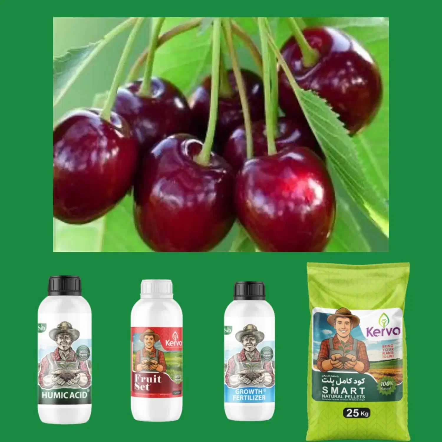 فروش کود ارگانیک|خدمات باغبانی و درختکاری|تاکستان, |دیوار