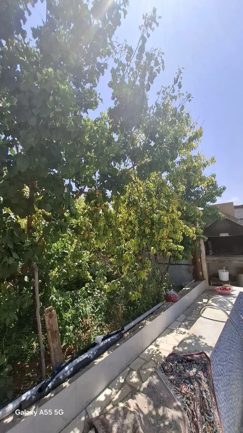 خونه باغ ویلایی چادگان محله مندرجان|فروش خانه و ویلا|چادگان, |دیوار