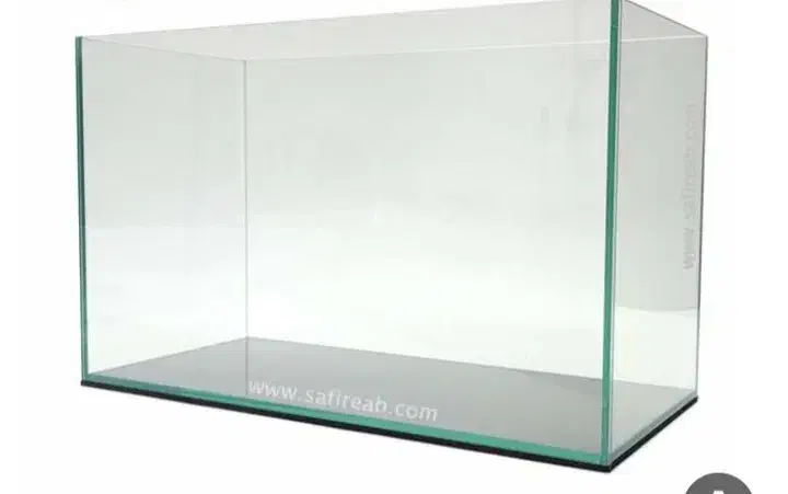 آکواریوم سالم معاوضه با خروس|ماهی|دالاهو, |دیوار