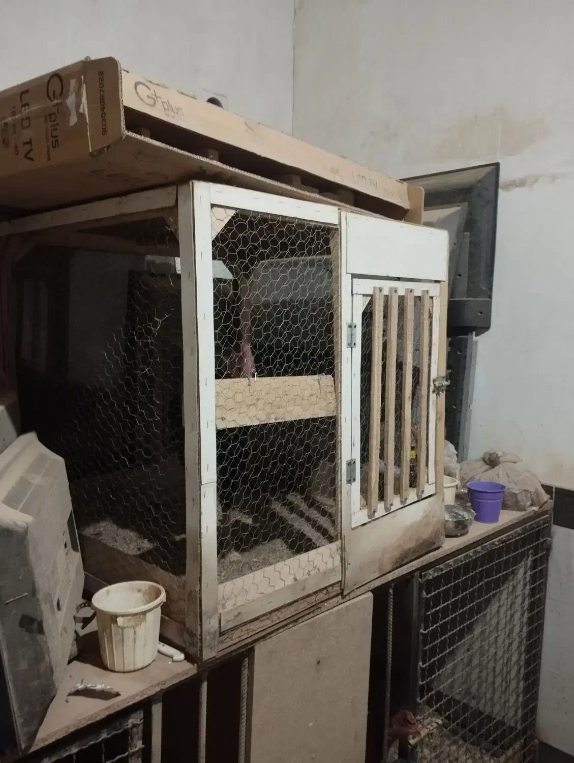 قفس چوبی محکم|لوازم جانبی حیوانات|خرمدره, |دیوار