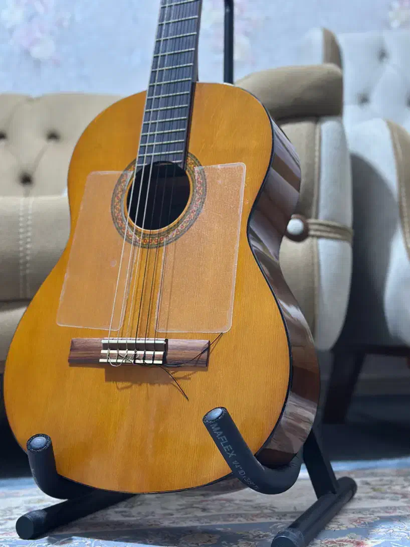 گیتار یاماها C40|گیتار، بیس، امپلیفایر|میناب, |دیوار