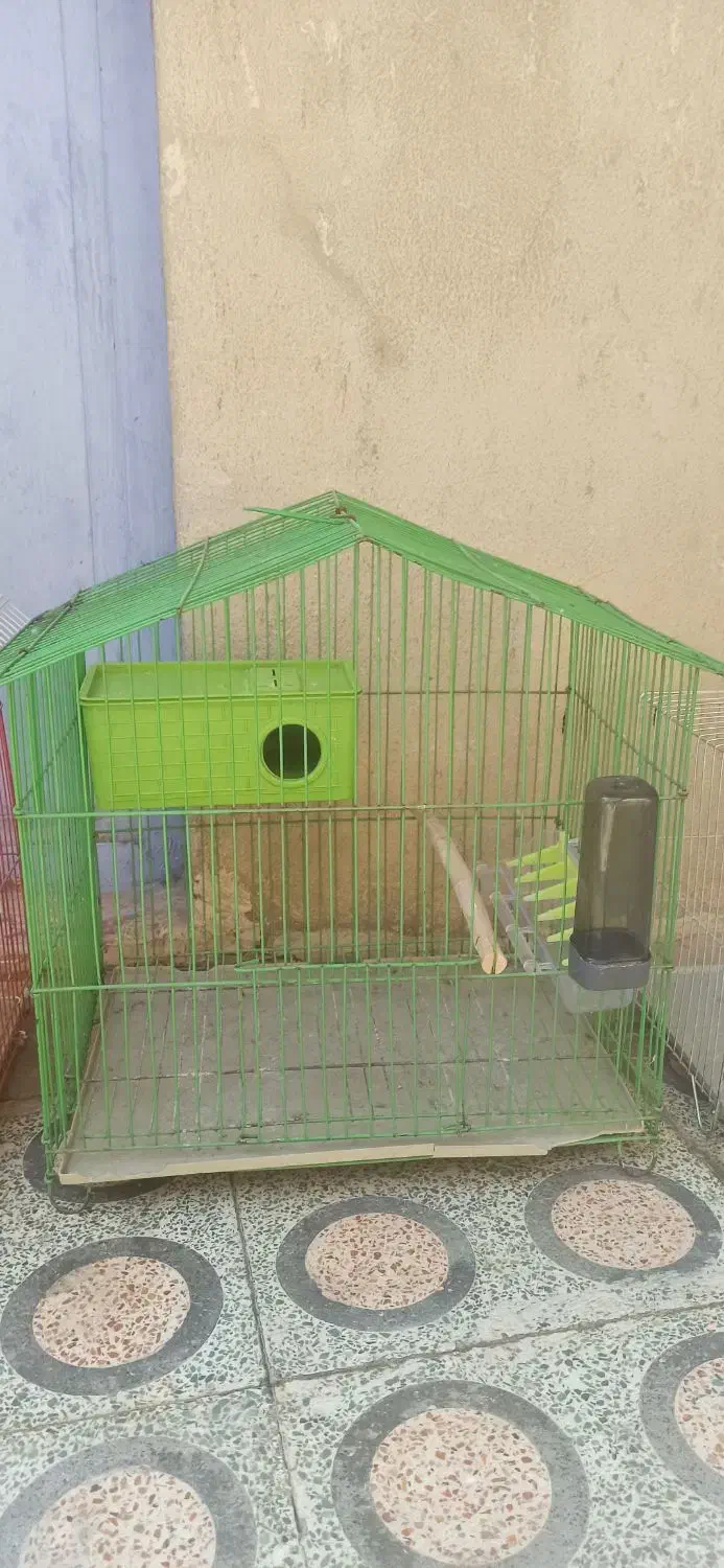 قفس|لوازم جانبی حیوانات|یاسوج, |دیوار