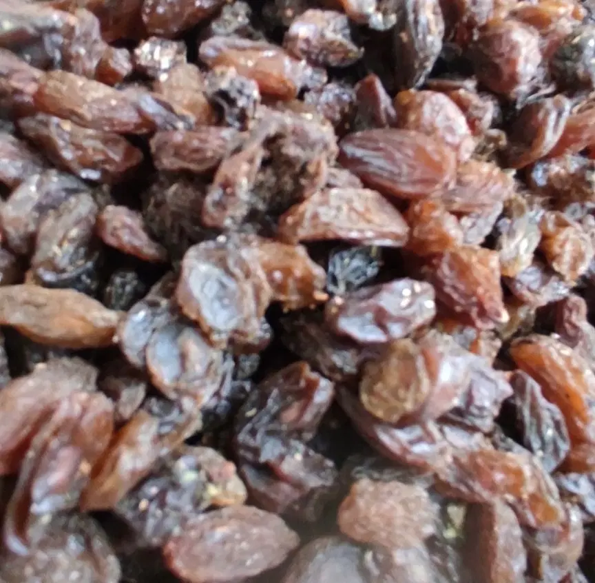 کشمش|خوردنی و آشامیدنی|گرگان, |دیوار