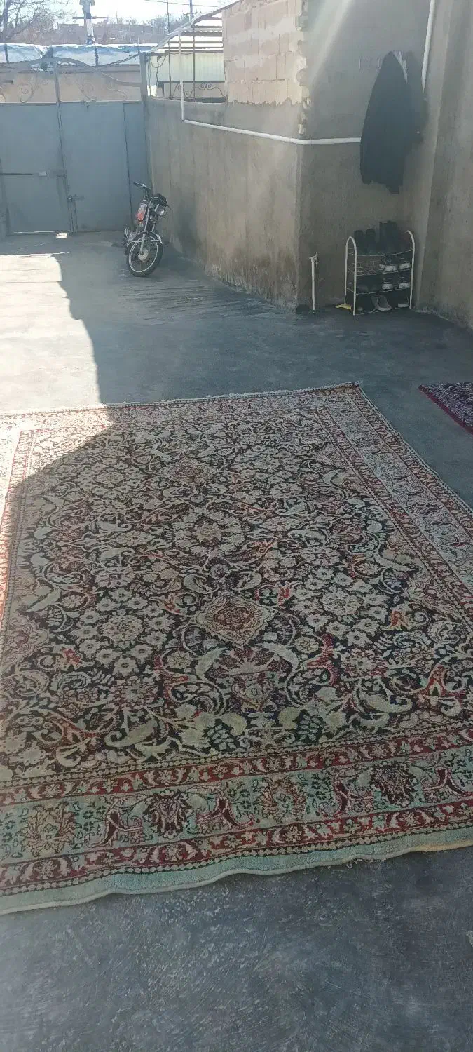 فرش ۹متری|فرش|صائین قلعه, |دیوار